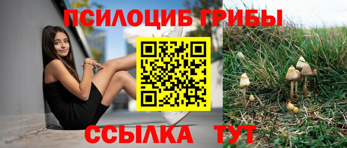 Буйнакск  Галлюциногенные грибы Magic Shrooms  дарнет шоп  Вход с VPN 